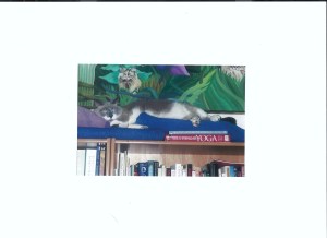 LARGE TINY CAT Scan_Pic0015