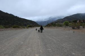 420152_10150741781489703_1319035889_n