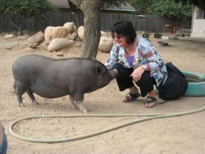 1208906_10151872840319703_1705683443_n