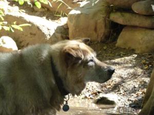 1500892_10152284382639703_59198106_o