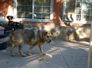 1891342_10152284380319703_8598231_o